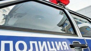 В Сурском районе полицейские задержали подозреваемого в краже